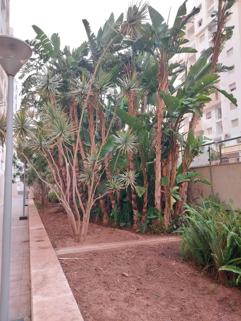 Apartment Prestige Islan Agadir