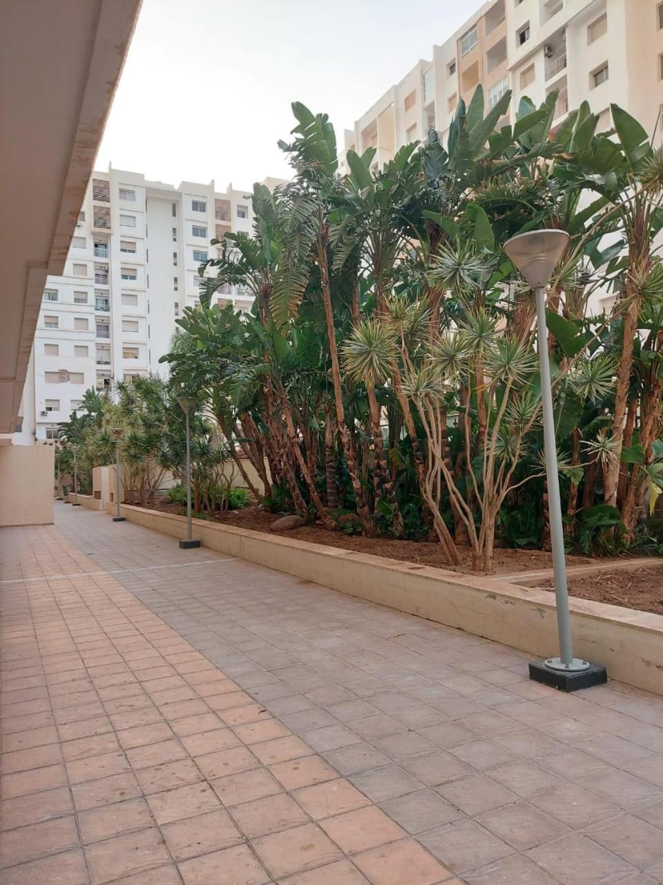 Prestige Islan Agadir