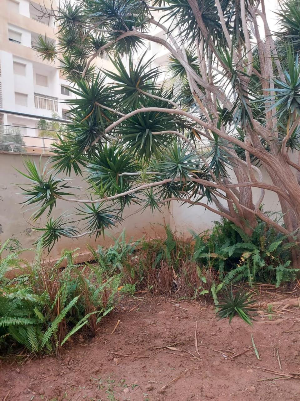 Prestige Islan Apartment Agadir