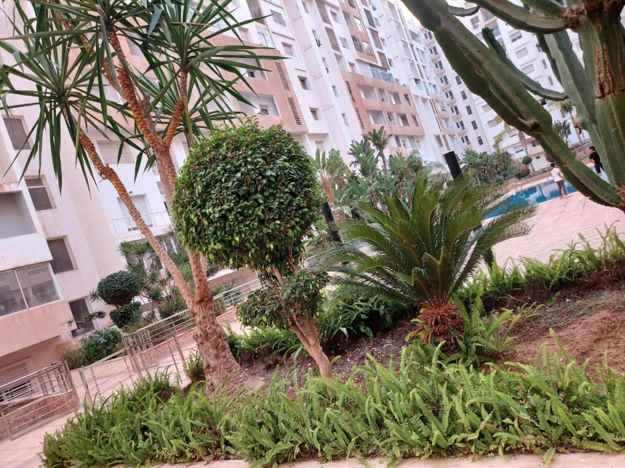 Prestige Islan Agadir
